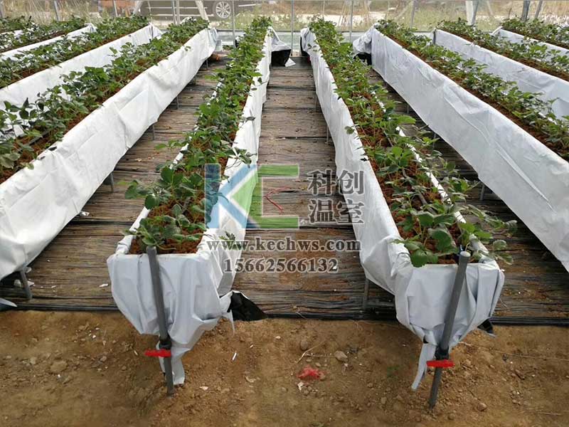 無土栽培，無土栽培技術(shù)，無土栽培設(shè)備