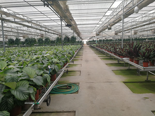 無土栽培，無土栽培技術，無土栽培設備