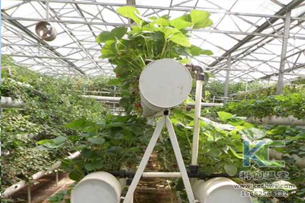 無(wú)土栽培,無(wú)土栽培技術(shù),無(wú)土栽培設(shè)備