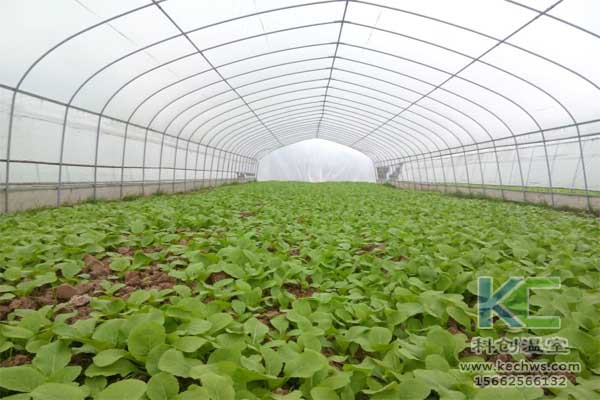 無土栽培，無土栽培技術，無土栽培設備