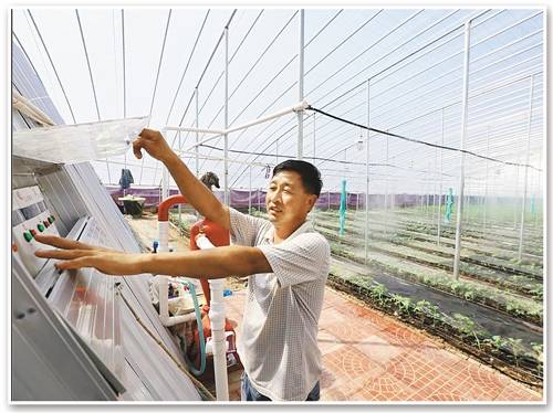 無土栽培，無土栽培技術(shù)，無土栽培設(shè)備