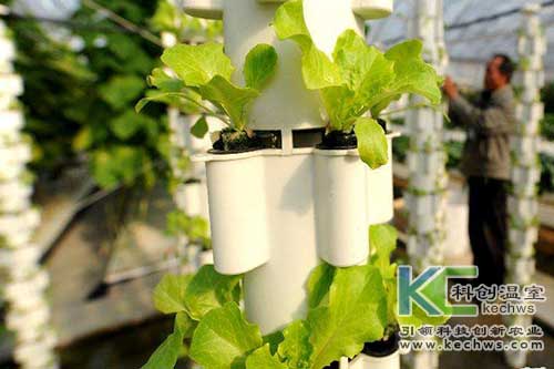 無土栽培，無土栽培技術，無土栽培設備