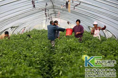 無土栽培，無土栽培技術(shù)，無土栽培設(shè)備