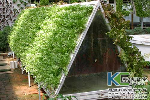 無土栽培，無土栽培技術(shù)，無土栽培設(shè)備