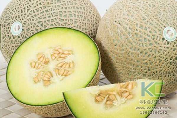 無土栽培，無土栽培技術(shù)，無土栽培設備