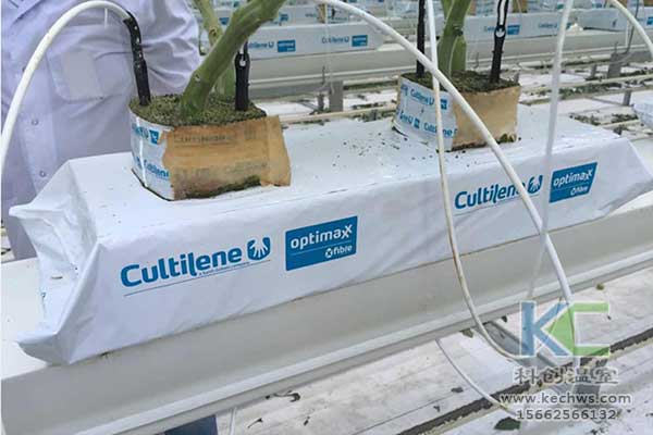 無(wú)土栽培，無(wú)土栽培技術(shù)，無(wú)土栽培設(shè)備