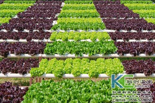 無土栽培，無土栽培技術(shù)，無土栽培設(shè)備