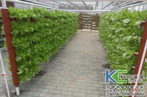 無土栽培，無土栽培技術(shù)，無土栽培設備