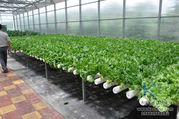 無土栽培，無土栽培技術(shù)，無土栽培設(shè)備