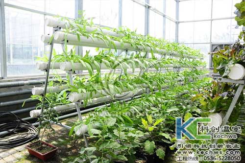 無土栽培，無土栽培技術(shù)，無土栽培設(shè)備