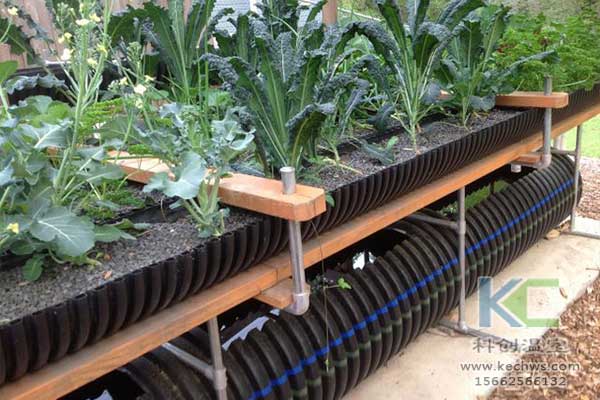 無土栽培，無土栽培技術，無土栽培設備