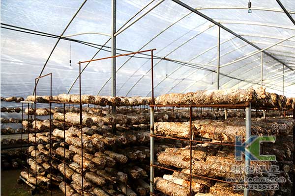 無(wú)土栽培，無(wú)土栽培技術(shù)