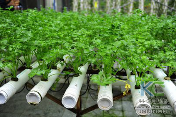 無土栽培，無土栽培技術，無土栽培設備