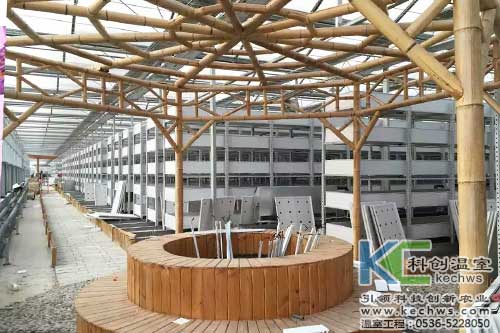 植物工廠,無土栽培