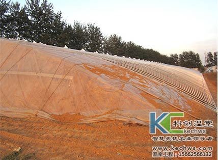 無(wú)土栽培，無(wú)土栽培技術(shù)，無(wú)土栽培設(shè)備