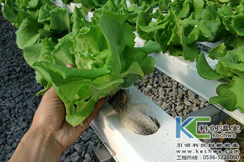 無土栽培，無土栽培技術(shù)，無土栽培設(shè)備