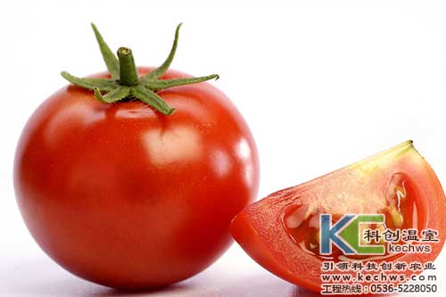 無土栽培，無土栽培技術，無土栽培設備