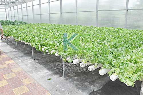 無土栽培，無土栽培技術(shù)，無土栽培設(shè)備