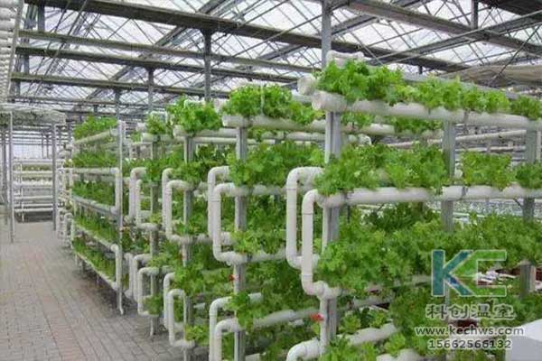 無土栽培，無土栽培技術