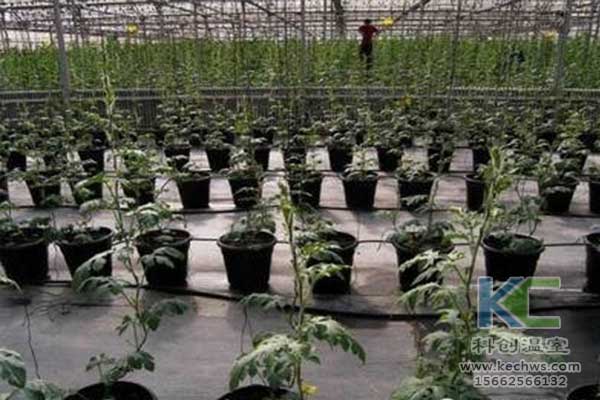 無土栽培，無土栽培技術(shù)，無土栽培設備