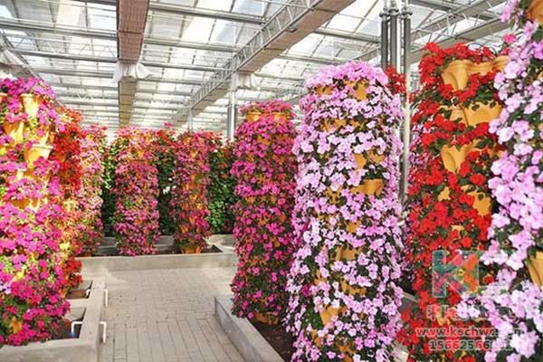 無土栽培，無土栽培技術，無土栽培設備