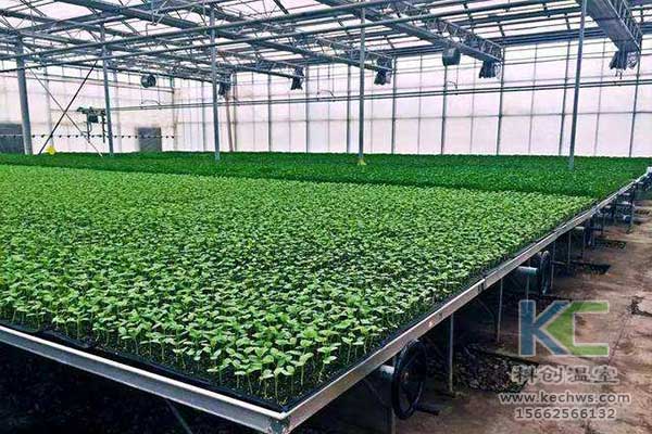 無土栽培，無土栽培技術，無土栽培設備