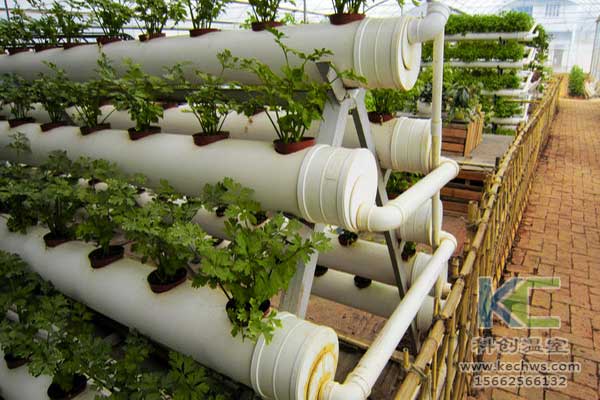 無土栽培，無土栽培技術，無土栽培設備