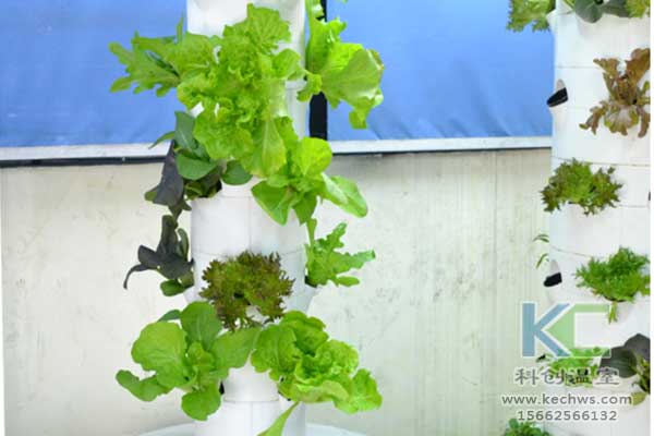 無(wú)土栽培，無(wú)土栽培技術(shù)，無(wú)土栽培設(shè)備