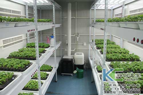 無土栽培，無土栽培技術(shù)，無土栽培設(shè)備