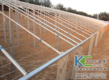 無(wú)土栽培，無(wú)土栽培技術(shù)，無(wú)土栽培設(shè)備