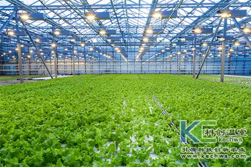 無土栽培，無土栽培技術，無土栽培設備