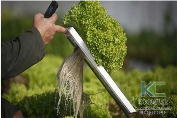 無土栽培，無土栽培營養液