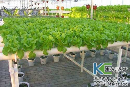 無土栽培，無土栽培技術(shù)，無土栽培設(shè)備