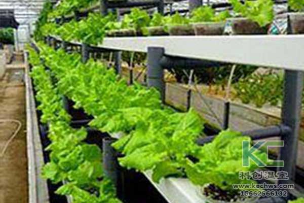 無(wú)土栽培，無(wú)土栽培技術(shù)，無(wú)土栽培設(shè)備