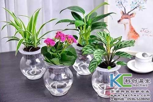 無土栽培，無土栽培技術(shù)，無土栽培設(shè)備