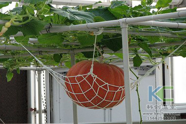 無(wú)土栽培技術(shù)，無(wú)土栽培設(shè)備，無(wú)土栽培，溫室大棚
