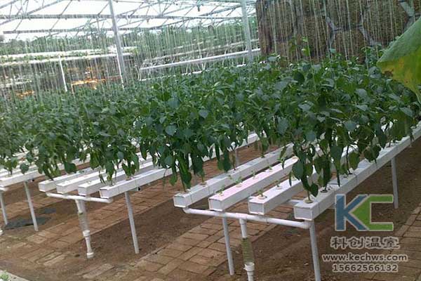 無土栽培，無土栽培技術，無土栽培設備