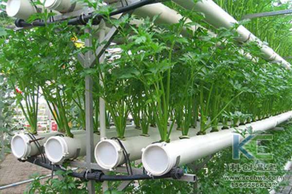 無土栽培，無土栽培技術，無土栽培設備