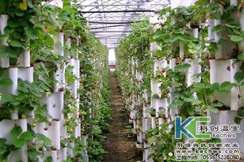 無土栽培，無土栽培技術，無土栽培設備