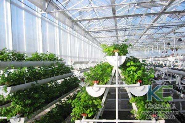 無土栽培，無土栽培技術，無土栽培設備