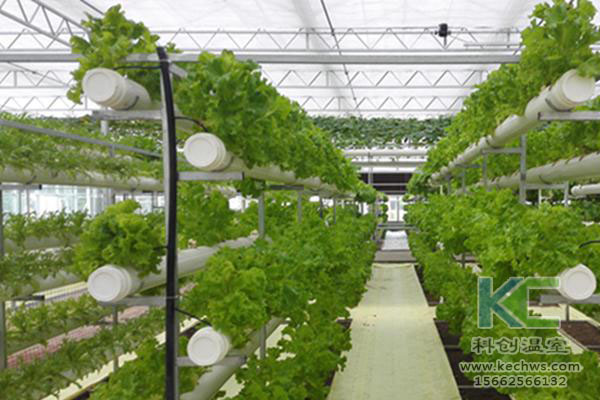 無土栽培，無土栽培技術，無土栽培設備