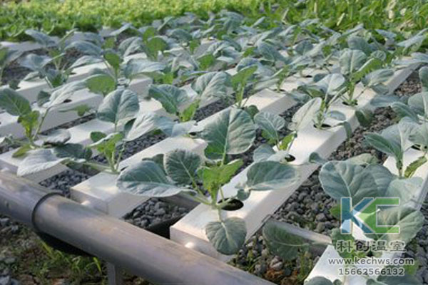 無土栽培，無土栽培技術，無土栽培設備