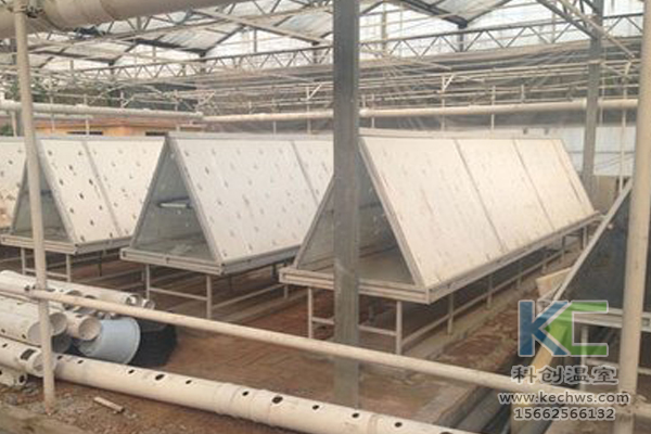 有機(jī)蔬菜栽培，無(wú)土栽培技術(shù)，無(wú)土栽培，溫室大棚