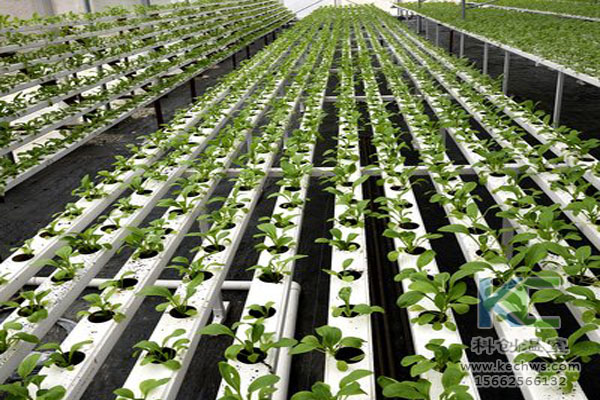 無土栽培技術(shù)，無土栽培設(shè)備，無土栽培，溫室大棚