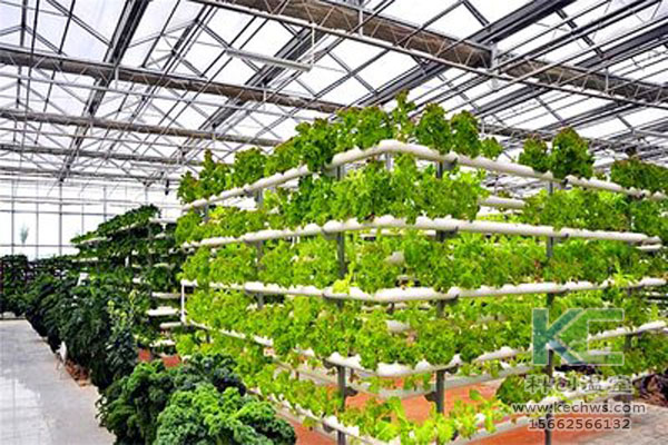有機生態型無土栽培，無土栽培技術，無土栽培設備，無土栽培