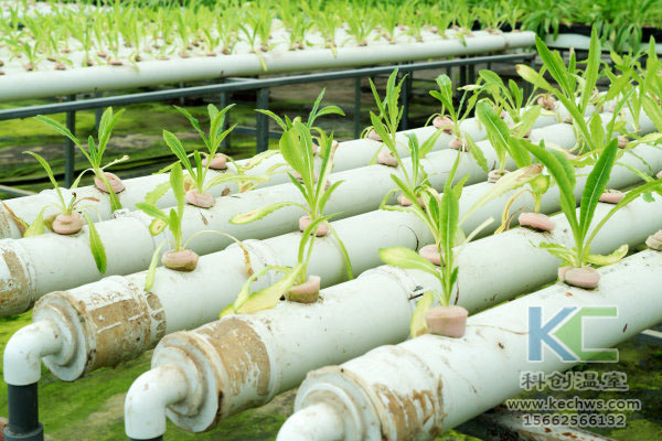 無土栽培，無土栽培技術，無土栽培設備