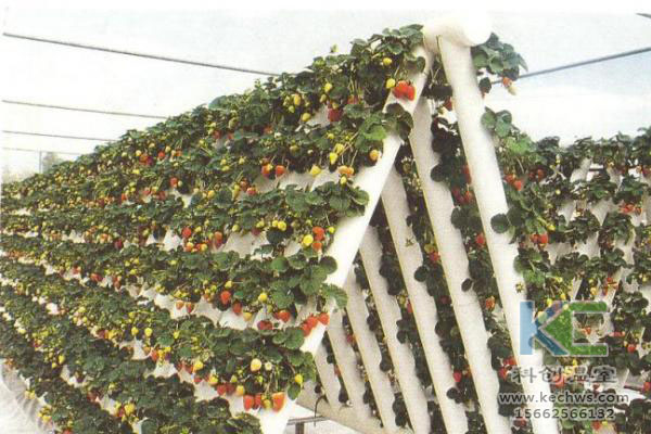 無土栽培，無土栽培技術，無土栽培設備