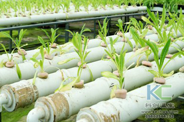 無土栽培技術(shù)，無土栽培設(shè)備，無土栽培，溫室大棚