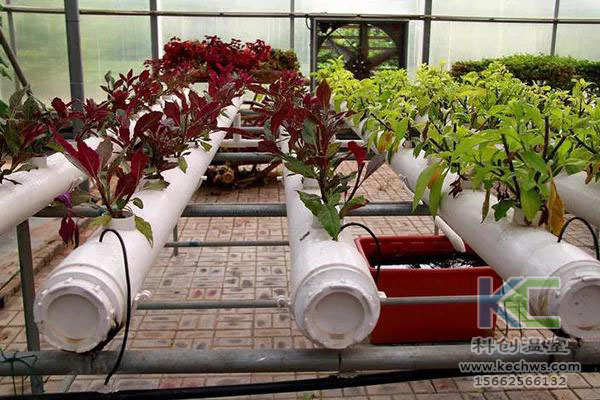 無土栽培，無土栽培技術，無土栽培設備