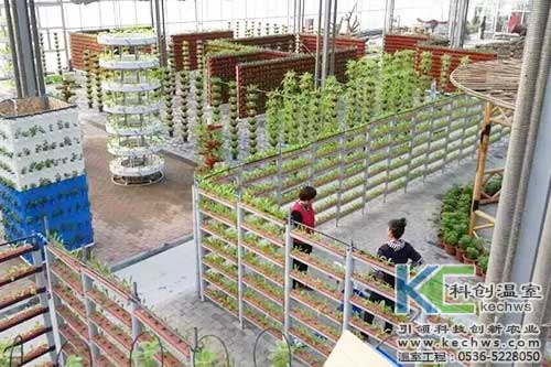 無(wú)土栽培，無(wú)土栽培案例